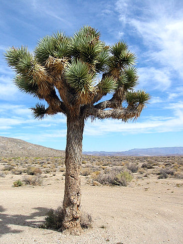 Lone Pine - Panamint Springs