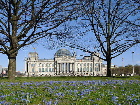 Parkanlage am Reichstag - Berlin (Berlin)