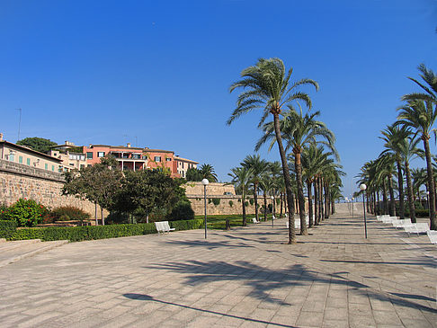 Fußgängerweg - Mallorca (Palma de Maljorka)