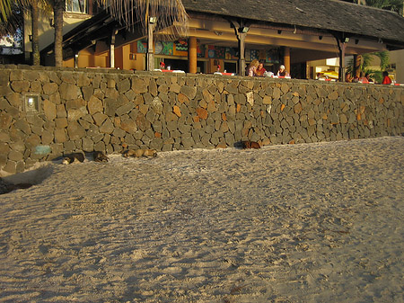 Foto Strand von Grand Baie