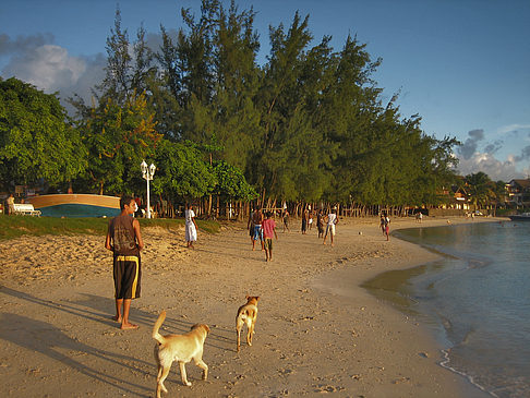 Foto Strand von Grand Baie