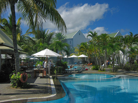 Pool mit Bar