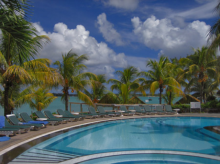 Pool mit Palmen Foto 