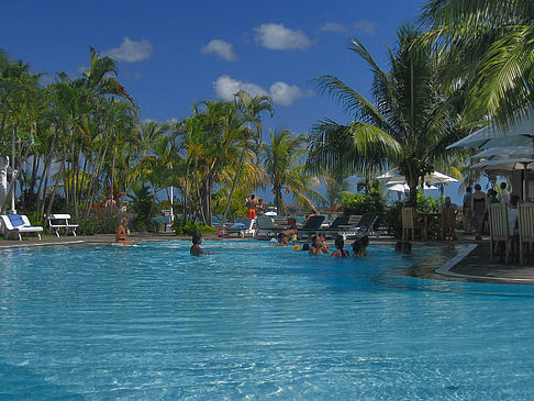 Pool mit Palmen Foto 