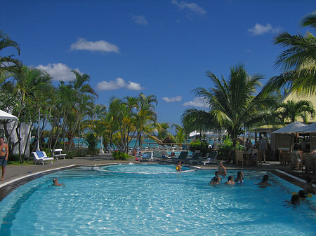 Foto Pool mit Palmen