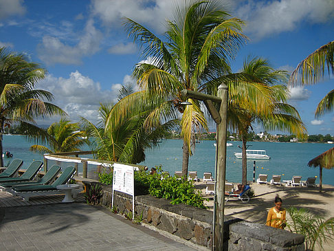 Palmen am Strand